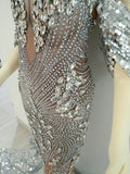 Celina Silver Jewelled Gown