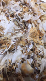 Golden Tiger Dress