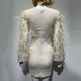 Cathy: Feather & Crystal Blush Dress