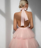 Soft Petal Tulle Dress (Blush)