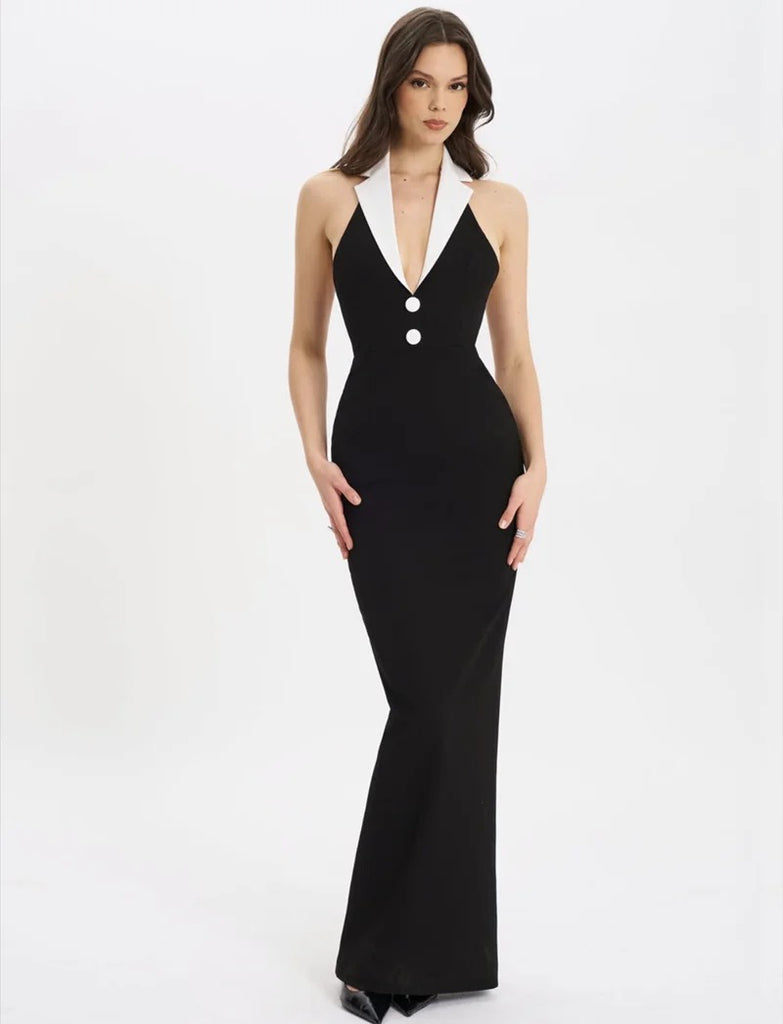 Maxi Vision Dress